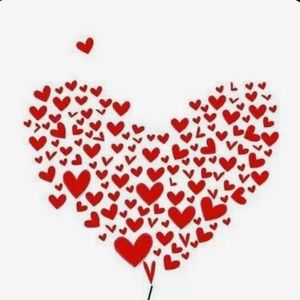 Meet your Posher, Sandi